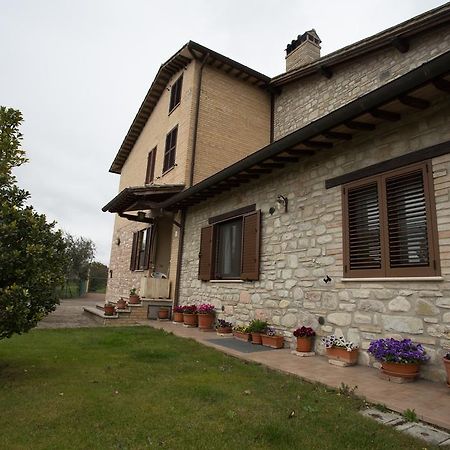 Assisana Affittacamere Santa Maria Degli Angeli  Luaran gambar