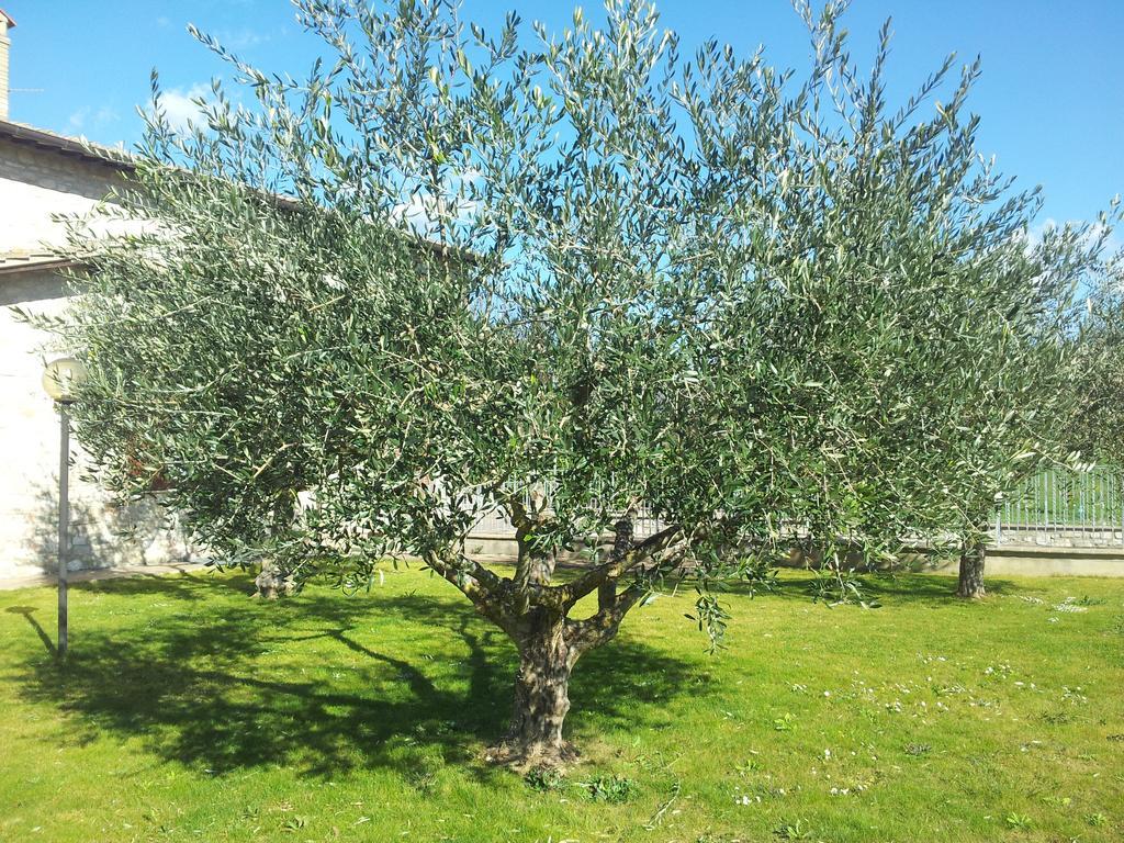 Assisana Affittacamere Santa Maria Degli Angeli  Luaran gambar