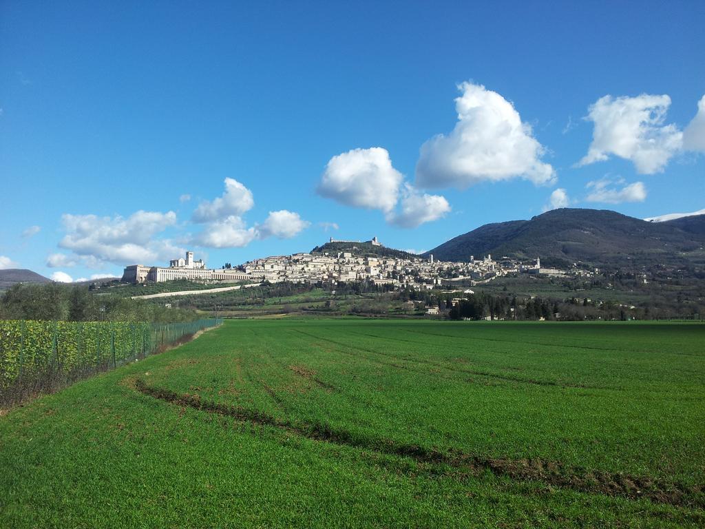 Assisana Affittacamere Santa Maria Degli Angeli  Luaran gambar